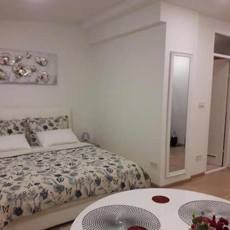 Apartman Mmvg Studio Zagreb Airport Velika Gorica Exteriér fotografie